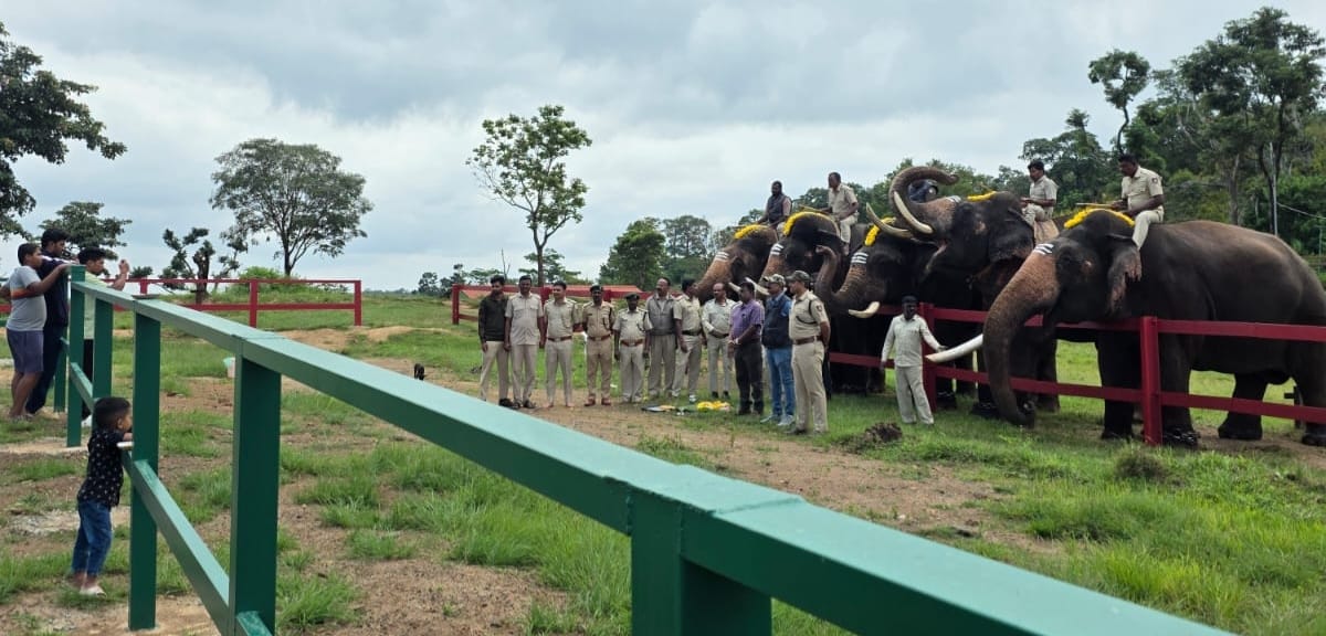 ಹಾರಂಗಿ ಟ್ರೀ ಪಾರ್ಕ್ ಮತ್ತು ಸಾಕಾನೆ ಶಿಬಿರಗಳಲ್ಲಿ ಸುರಕ್ಷತಾ ಕ್ರಮಗಳೊಂದಿಗೆ 'ಆನೆಗಳ ಪ್ರದರ್ಶನ' ಪುನರಾರಂಭ 