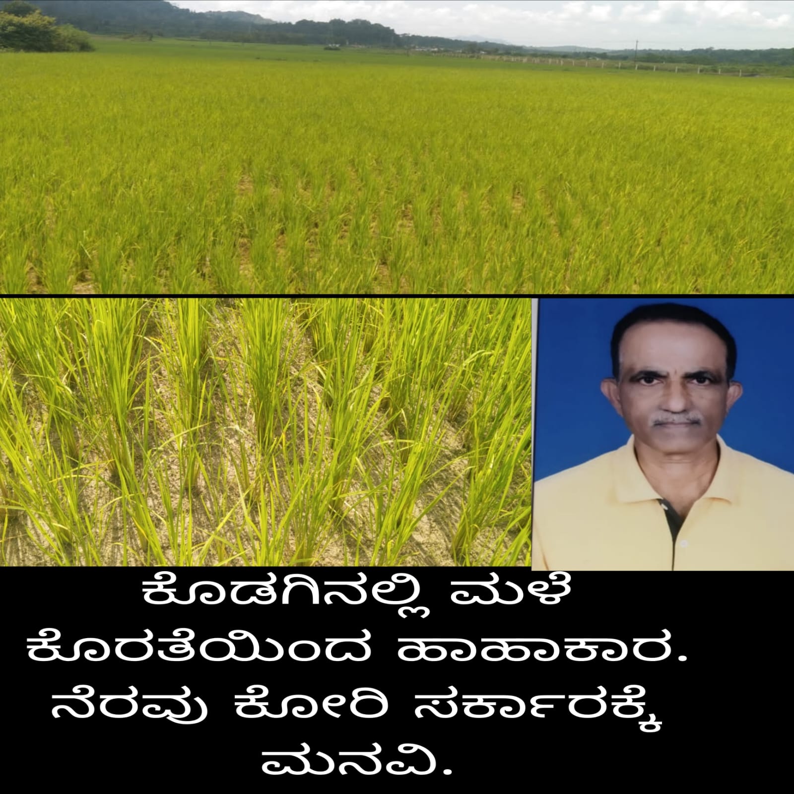 ಕೊಡಗಿನಲ್ಲಿ ಬೆಳೆ ರಕ್ಷಣೆಗೆ ಮಳೆಯ ಅಗತ್ಯತೆ ಇದೆ: ಸರ್ಕಾರ ಕ್ರಮ ಕೈಗೊಳ್ಳಲು ಪ್ರಗತಿಪರ ರೈತ ಪುಲಿಯಂಡ ಜಗದೀಶ್ ಒತ್ತಾಯ