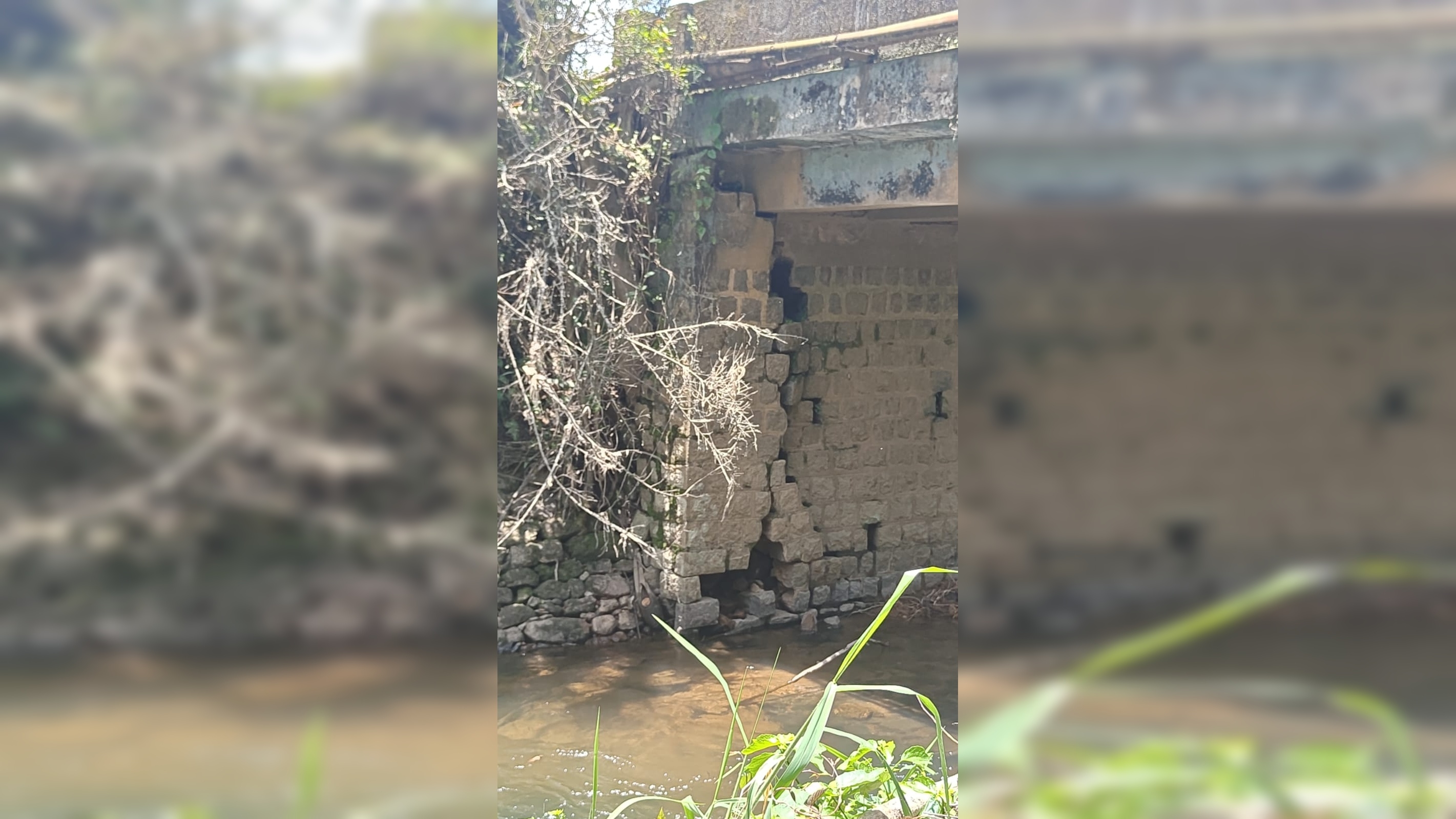 ಕುಯ್ಯಂಬುಡಿ ಮೇಲ್ಸೇತುವೆ ಅಪಾಯದ ಅಂಚಿನಲ್ಲಿ; ಅನಾಹುತಕ್ಕೂ ಮುನ್ನ ತುರ್ತು ದುರಸ್ತಿಗೆ SDPI ಆಗ್ರಹ