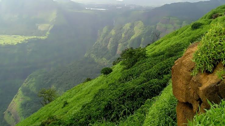 ಕಸ್ತೂರಿ ರಂಗನ್ ಹಿಂದೆ ಡೋಂಗಿ ಪರಿಸರವಾದಿಗಳ ಕೈವಾಡ