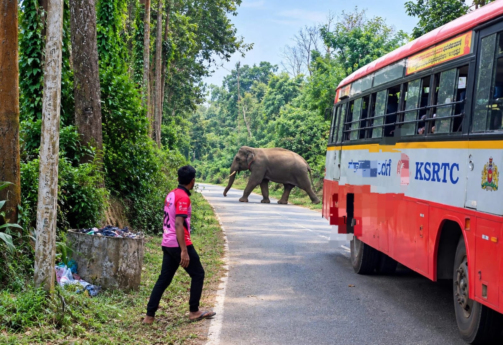 ರಸ್ತೆ ಮಧ್ಯೆ ಒಂಟಿ ಸಲಗ ಪ್ರತ್ಯಕ್ಷ