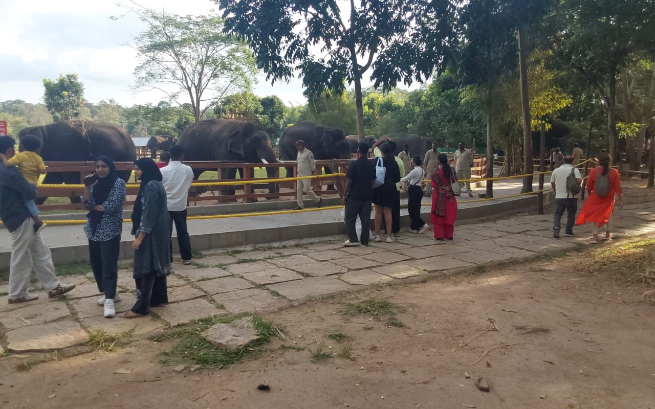 ಸುರಕ್ಷತಾ ವಿಧಾನಗಳೊಂದಿಗೆ ದುಬಾರೆ ಆನೆ ಶಿಬಿರ ಮತ್ತೆ ಪ್ರವಾಸಿಗರಿಗೆ ಮುಕ್ತ