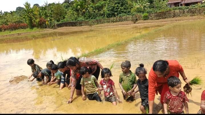 ರೋಟರಿ ಪ್ರಾಥಮಿಕ ಶಾಲೆಯ ಪುಟಾಣಿಗಳಿಂದ ಗದ್ದೆಯಲ್ಲಿ ಭತ್ತದ ನಾಟಿ ಪ್ರತ್ಯಕ್ಷ ಅನುಭವ ಹಾಗೂ 'ವೆಟ್‌ಲ್ಯಾಂಡ್ ಸ್ಪೋರ್ಟ್ಸ್' ಸಂಭ್ರಮ!