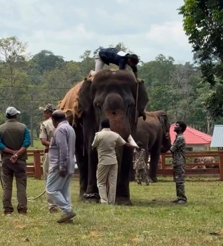 ದುಬಾರೆ ಆನೆ ಶಿಬಿರದಲ್ಲಿ ಕಾವಾಡಿಗಳ ನೇಮಕಾತಿ ಪ್ರಕ್ರಿಯೆ ಚುರುಕು;ನಾಳೆಯಿಂದ ಪ್ರವಾಸಿಗರಿಗೆ ಪ್ರವೇಶ ಮುಕ್ತ