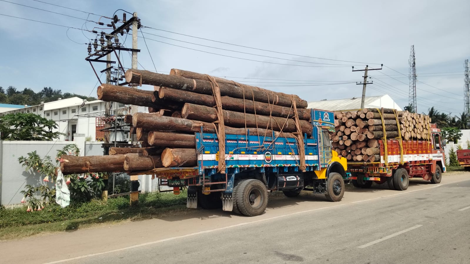 ಅಪಾಯಕಾರಿ ಸ್ಥಿತಿಯಲ್ಲಿ ಟಿಂಬರ್ ಸಾಗಾಟ: 4 ಲಾರಿಗಳು ಪೊಲೀಸ್ ವಶಕ್ಕೆ