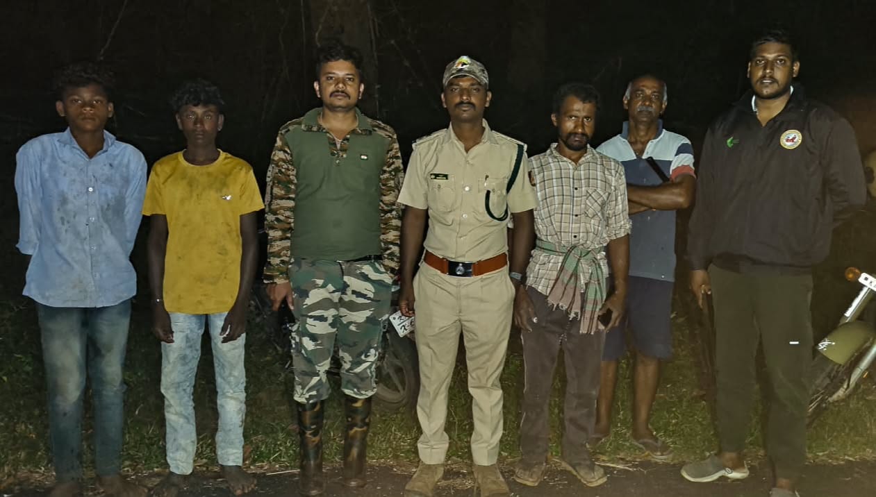 ಸುಳುಗೋಡು ಗ್ರಾಮದಲ್ಲಿ ಹುಲಿ ದಾಳಿ: ಕರು ಬಲಿ