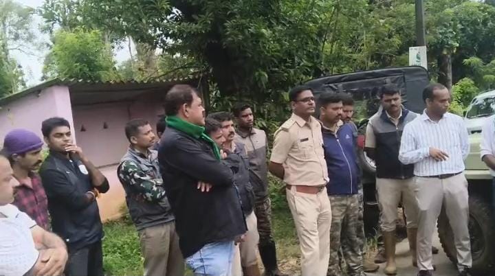 ಬೆಳ್ಳೂರಿನಲ್ಲಿ ಹುಲಿ ದಾಳಿ: ಇಟ್ಟೀರ ಪೊನ್ನಣ್ಣ ಅವರ 13ನೇ ಹಸು ಬಲಿ