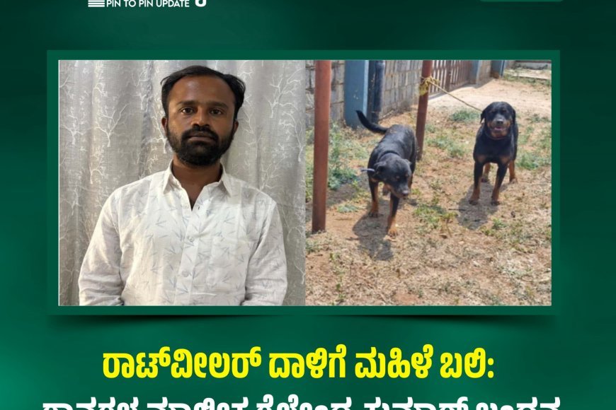 ರಾಟ್‌ವೀಲರ್‌ ದಾಳಿಗೆ ಮಹಿಳೆ ಬಲಿ: ಶ್ವಾನಗಳ ಮಾಲೀಕ ಶೈಲೇಂದ್ರ ಕುಮಾರ್ ಬಂಧನ