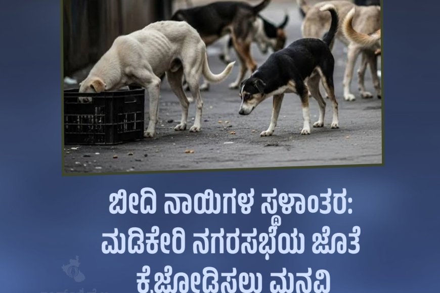 ಬೀದಿ ನಾಯಿಗಳ ಸ್ಥಳಾಂತರ: ನಗರಸಭೆಯ ಜೊತೆ ಕೈಜೋಡಿಸಲು ಮನವಿ