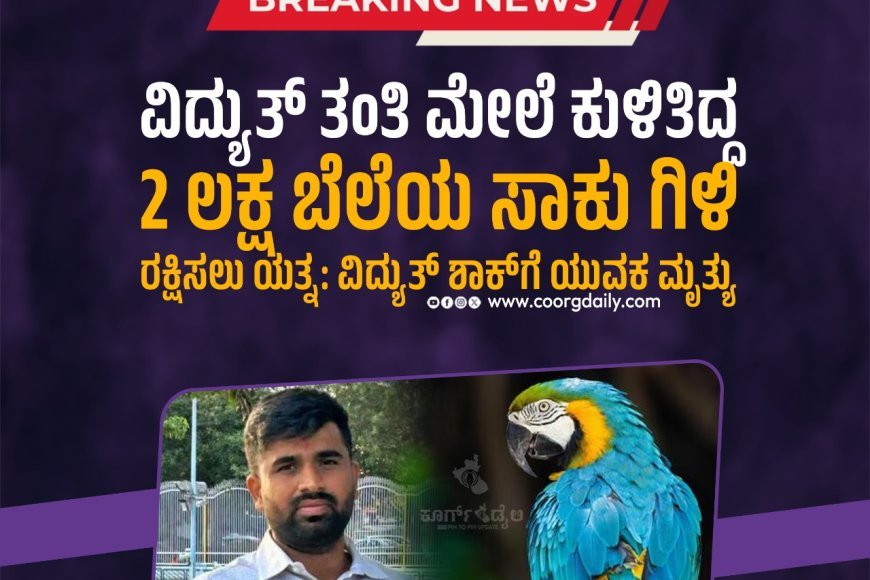 ವಿದ್ಯುತ್ ತಂತಿ ಮೇಲೆ ಕುಳಿತಿದ್ದ 2 ಲಕ್ಷ ಬೆಲೆಯ ಸಾಕು ಗಿಳಿ ರಕ್ಷಿಸಲು ಯತ್ನ: ವಿದ್ಯುತ್‌ ಶಾಕ್‌ಗೆ ಯುವಕ ಮೃತ್ಯು