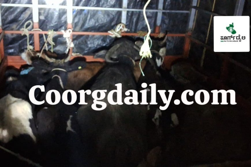 ವಿರಾಜಪೇಟೆ:ಆಲೂಗಡ್ಡೆ ಚೀಲಗಳನ್ನು ತುಂಬಿ,ಅಕ್ರಮ ಗೋ ಸಾಗಾಟ;ಕೇರಳ ರಾಜ್ಯದ ಇಬ್ಬರ ಬಂಧನ