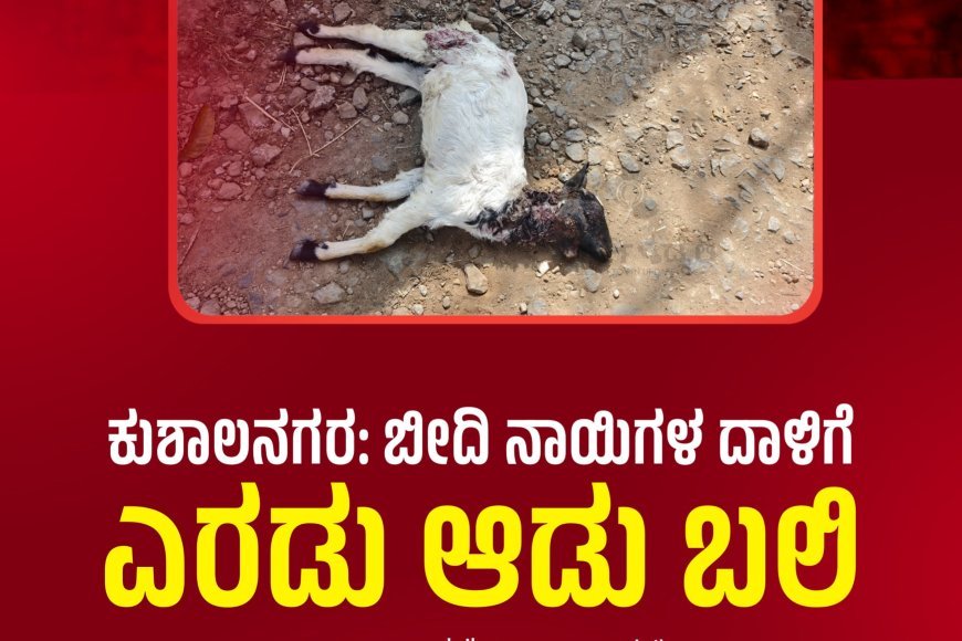 ಕುಶಾಲನಗರ:,ಬೀದಿ ನಾಯಿಗಳ ದಾಳಿಗೆ ಎರಡು ಆಡು ಬಲಿ