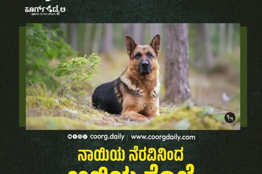 ನಾಯಿಯ ನೆರವಿನಿಂದ ಅಜ್ಜಿಯ ಕೊಲೆ ಪ್ರಕರಣ ಬಯಲು; ಮೊಮ್ಮಗನ ಬಂಧನ