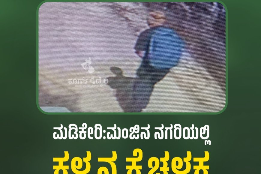 ಸಿಸಿಟಿವಿಯಲ್ಲಿ ಸೆರೆಯಾದ ಫೋಟೋ