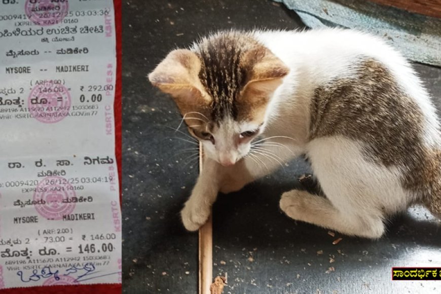 Photo credit:Public tv