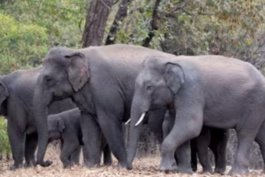 ಸಾಂದರ್ಭಿಕ ಚಿತ್ರ