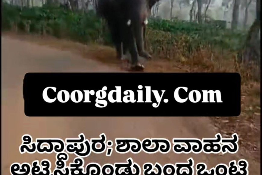 ಸಿದ್ದಾಪುರ;ಕಾಡಾನೆ ವೀಡಿಯೋ ಚಿತ್ರೀಕರಣ,ಶಾಲಾ ವಾಹನ ಚಾಲಕ ಹಾಗೂ ಮುಖ್ಯೋಪಾಧ್ಯಾಯರಿಗೆ ಅರಣ್ಯ ಇಲಾಖೆಯಿಂದ ನೋಟೀಸ್ ಜಾರಿ