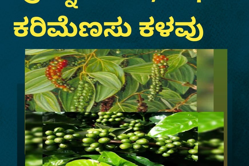 ಪೊನ್ನಂಪೇಟೆ; ಕಾಫಿ-ಕರಿಮೆಣಸು ಕಳವು