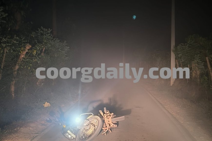ಸಿದ್ದಾಪುರ; ಬೈಕ್ ಸವಾರನ ಮೇಲೆ ಕಾಡಾನೆ ದಾಳಿಗೆ ಯತ್ನ: ಪ್ರಾಣಾಪಾಯದಿಂದ ಪಾರು