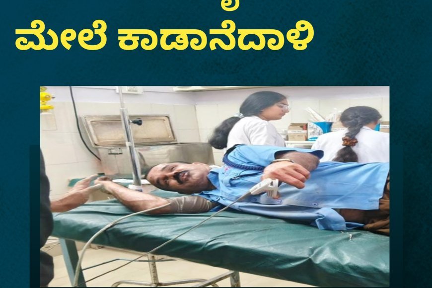 ಮದೆನಾಡು :ಬೈಕ್ ಸವಾರನ ಮೇಲೆ ಕಾಡಾನೆ ದಾಳಿ