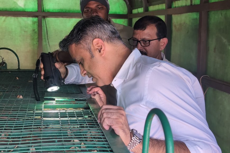 ಬೆಸಗೂರಿನಲ್ಲಿ ಸೆರೆ ಸಿಕ್ಕ ಹುಲಿ ಬನ್ನೇರುಘಟ್ಟಕ್ಕೆ ಸ್ಥಳಾಂತರ:ಕೆಂಗೇರಿಯಲ್ಲಿ  ಹುಲಿಯನ್ನು ವೀಕ್ಷಿಸಿದ ಶಾಸಕ‌ ಎಎಸ್ ಪೊನ್ನಣ್ಣ