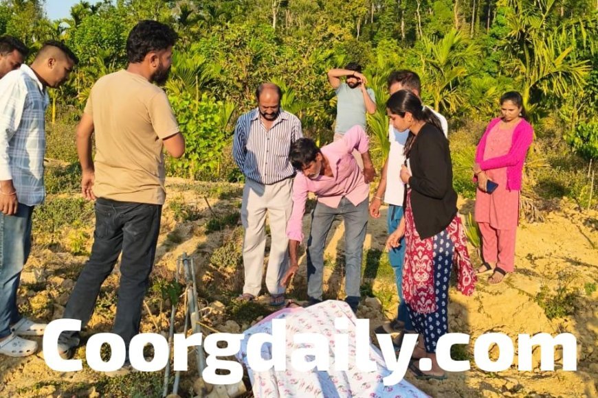 ಹಾಲುಗುಂದ;ವಿದ್ಯುತ್ ತಂತಿ ತಗುಲಿ‌ ಕಾಫಿ ಬೆಳಗಾರ ದುರ್ಮರಣ