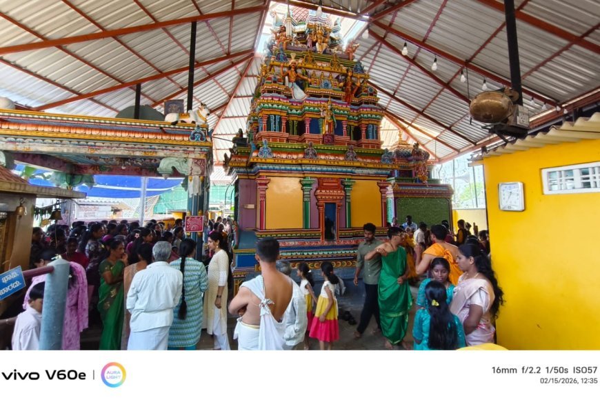 ಸಿದ್ದಾಪುರ; ಶ್ರೀ ಗೌರಿ ಶಂಕರ ದೇವಾಲಯದಲ್ಲಿ ಶಿವರಾತ್ರಿ ಸಂಭ್ರಮ