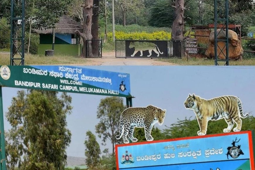 Photo credit:Google