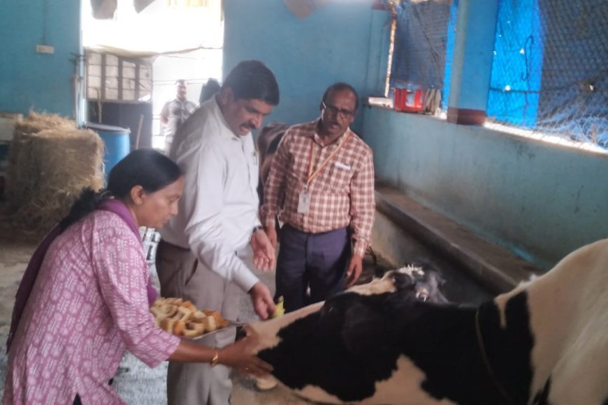 ಗೋಶಾಲೆಗೆ ಜಿಲ್ಲಾಧಿಕಾರಿ ಭೇಟಿ; ಪರಿಶೀಲನೆ