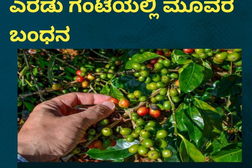 ಕಾಫಿ