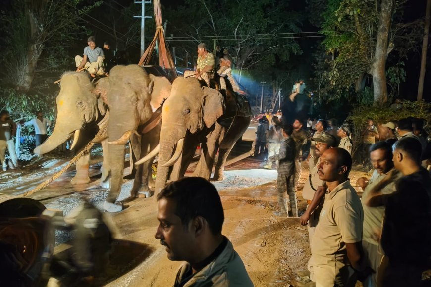 ಸಿದ್ದಾಪುರ;ಬೆಳೆಗಾರ ಗಣಪತಿಯನ್ನು ಬಲಿಪಡೆದ ಕಾಡಾನೆ ಸೆರೆ