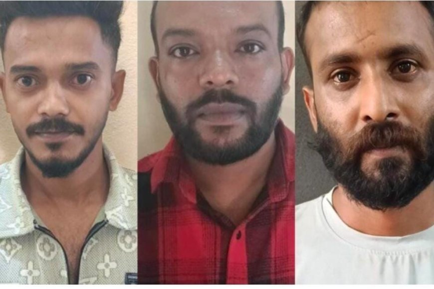 ಕರಿಮೆಣಸು ಕಳವು,ಜಾನುವಾರು ಸಾಗಾಟ,ಆರೋಪಿಗಳ ಬಂಧನ