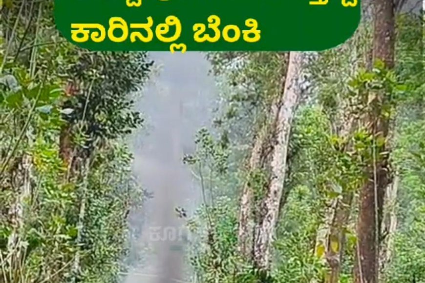 ಸಿದ್ದಾಪುರ;ಚಲಿಸುತ್ತಿದ್ದ ಕಾರಿನಲ್ಲಿ ಬೆಂಕಿ