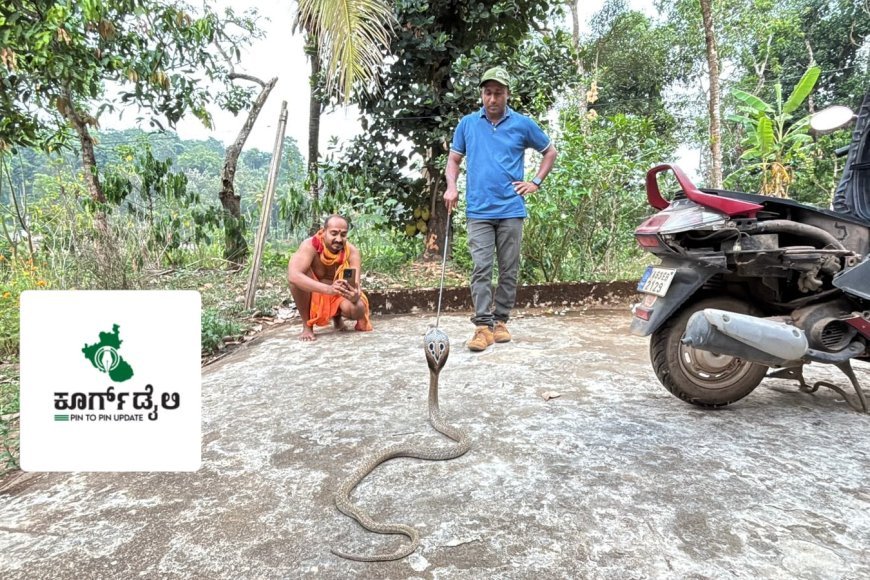 ಸ್ಕೂಟಿಯಲ್ಲಿ ನಾಗರಹಾವು ಪತ್ತೆ