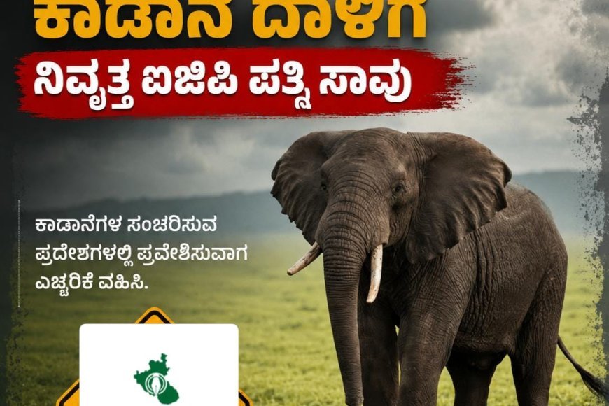 ಕಾಡಾನೆ