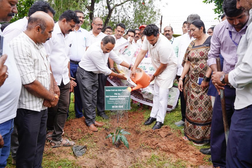 ಒಂದು ಗಿಡ ತಾಯಿಯ ಹೆಸರಿನಲ್ಲಿ ಕಾರ್ಯಕ್ರಮಕ್ಕೆ ಸಂಸದ ಯದುವೀರ್ ಒಡೆಯರ್ ಚಾಲನೆ