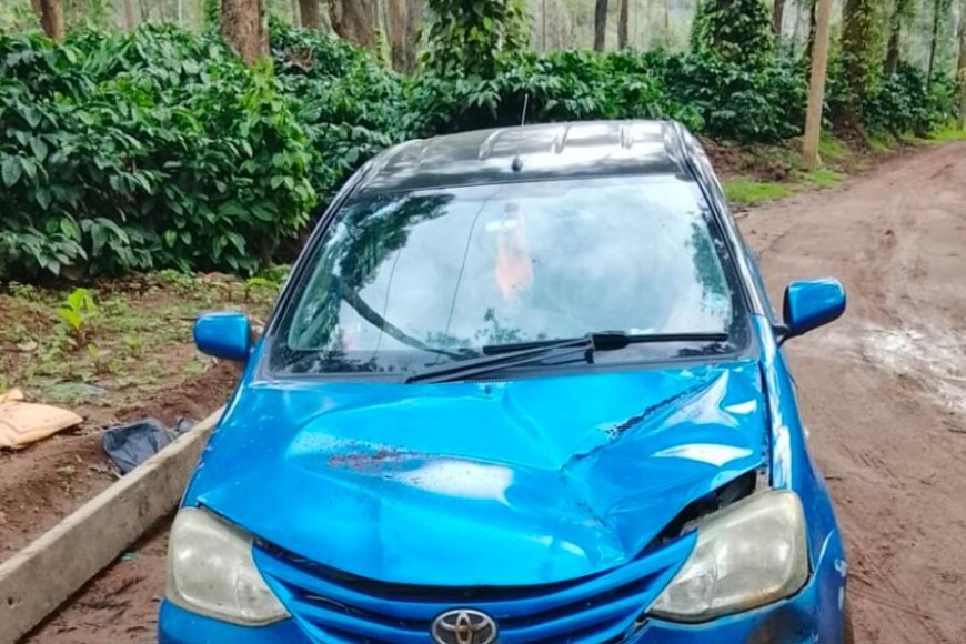 ಸಿದ್ದಾಪುರ:ಎಸ್ಟೇಟ್ ನೊಳಗೆ ಕಾರಿನ ಮೇಲೆ ಕಾಡಾನೆ ದಾಳಿ
