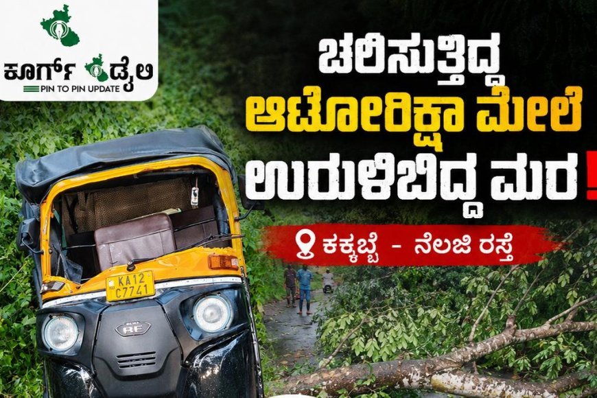 ಕಕ್ಕಬ್ಬೆ -ನೆಲಜಿ ರಸ್ತೆಯಲ್ಲಿ ಚಲಿಸುತ್ತಿದ್ದ ಆಟೋರಿಕ್ಷಾ ಮೇಲೆ ಉರುಳಿಬಿದ್ದ ಮರ;ಚಾಲಕನಿಗೆ ಗಂಭೀರ ಗಾಯ