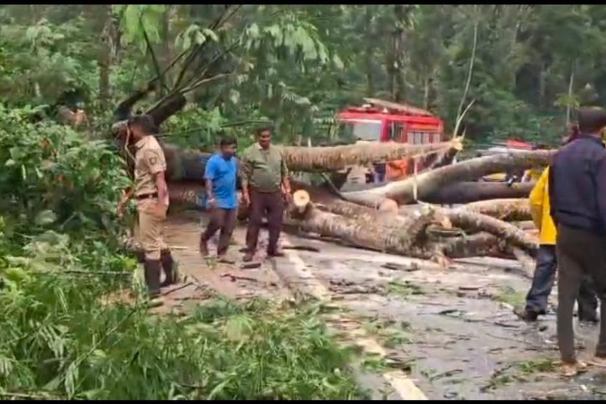 ರಾಷ್ಟ್ರೀಯ ಹೆದ್ದಾರಿ ಮೇಲೆ ಬೃಹತ್ ಮರ ಬಿದ್ದು ಅಸ್ತವ್ಯಸ್ತಗೊಂಡ ವಾಹನ ಸಂಚಾರ