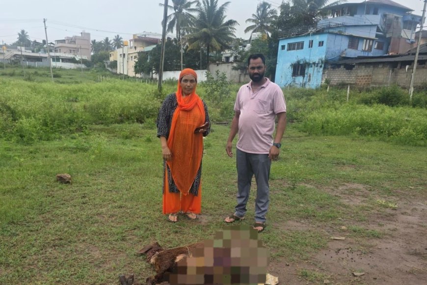 ಕುಶಾಲನಗರ: ಬೀದಿ ನಾಯಿಗಳ ದಾಳಿಗೆ ಎರಡು ಕುರಿ ಬಲಿ