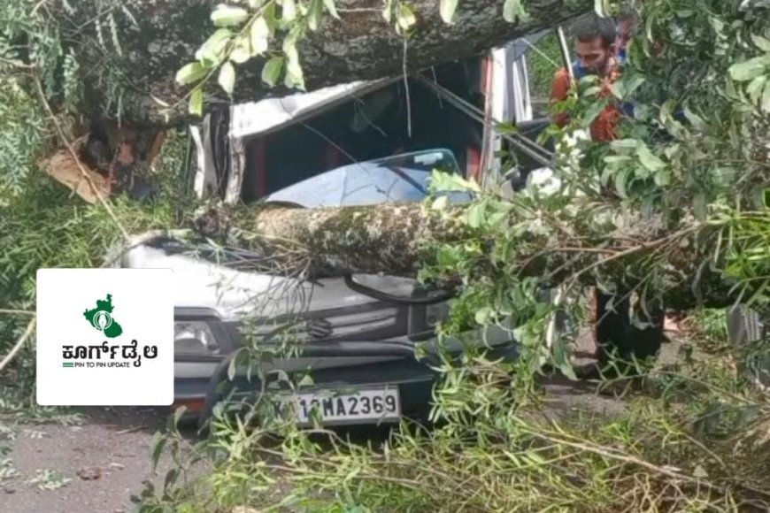 ಕೊಂಡಂಗೇರಿ: ಚಲಿಸುತ್ತಿದ್ದ ಒಮಿನಿ ಕಾರಿನ ಮೇಲೆ ಬಿದ್ದ ಮರ