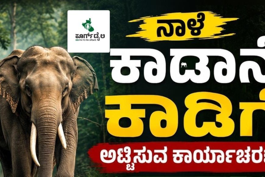 ನಾಳೆ ಕಾಡಾನೆ ಕಾಡಿಗೆ ಅಟ್ಟಿಸುವ ಕಾರ್ಯಾಚರಣೆ