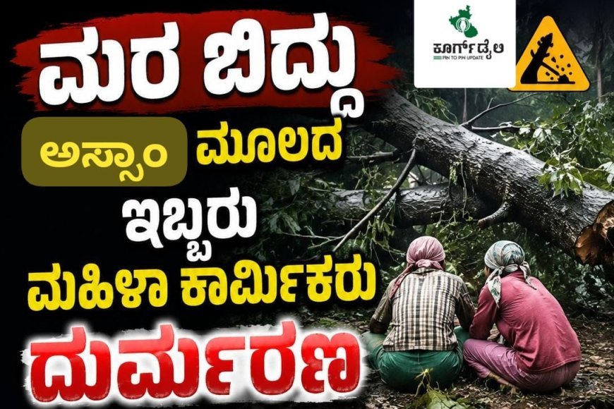 ಮರ ಬಿದ್ದು ಅಸ್ಸಾಂ ಮೂಲದ ಇಬ್ಬರು ಮಹಿಳಾ ಕಾರ್ಮಿಕರು ದುರ್ಮರಣ