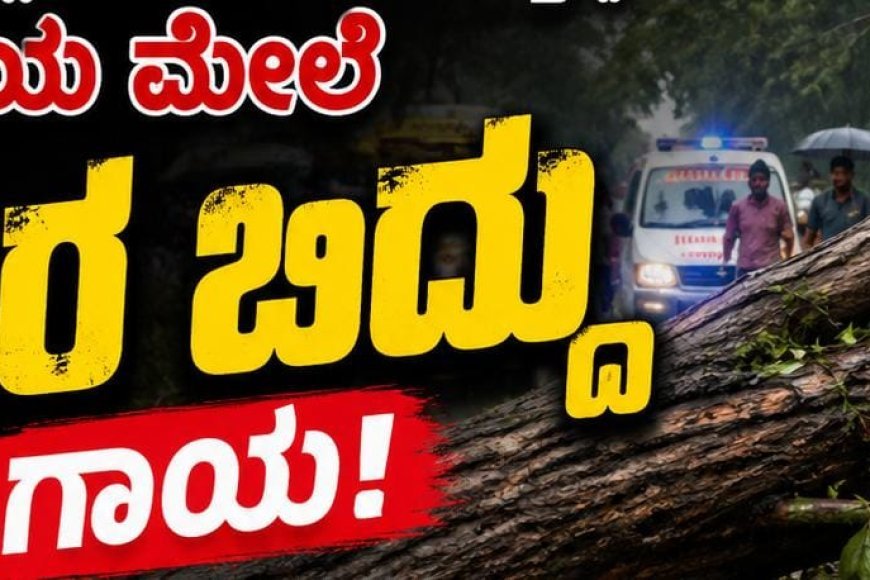 ರಸ್ತೆಯಲ್ಲಿ ನಡೆದು ಹೋಗುತ್ತಿದ್ದ ವ್ಯಕ್ತಿಯ ಮೇಲೆ ಮರ ಬಿದ್ದು ಗಾಯ