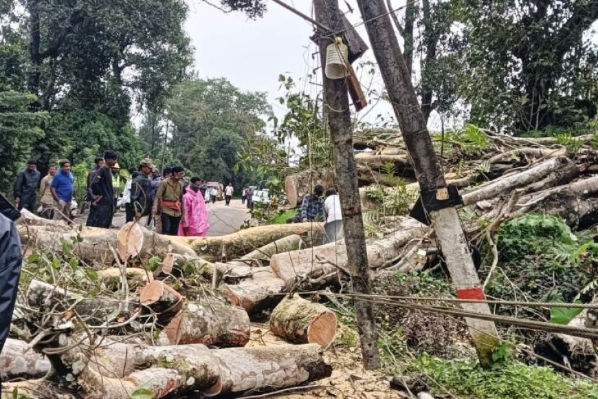ಶನಿವಾರಸಂತೆ:ಭಾರೀ ಮಳೆ-ಗಾಳಿಗೆ ಮರಬಿದ್ದು ಸಂಚಾರಕ್ಕೆ ಅಡಚಣೆ