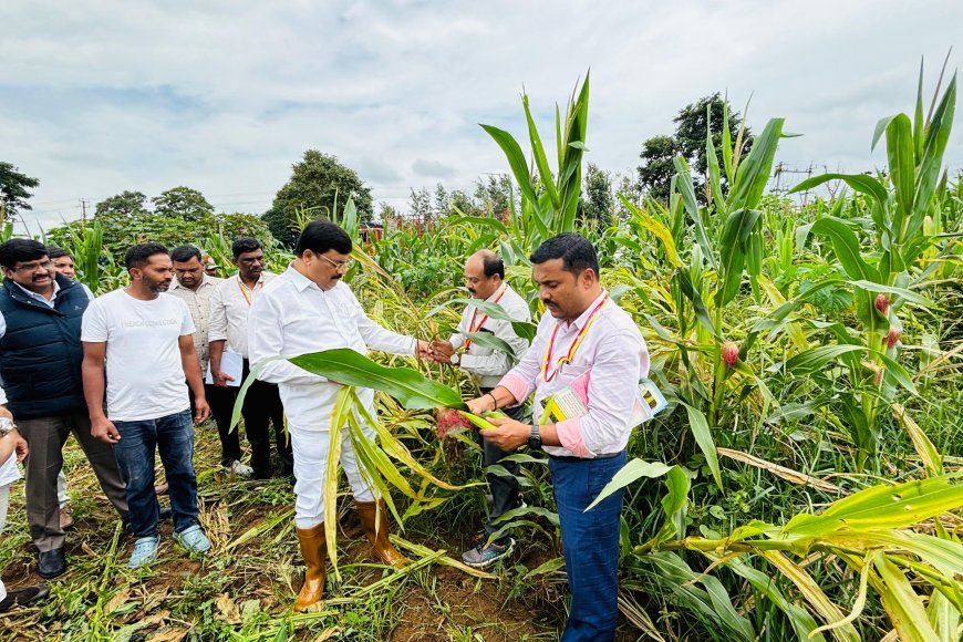 ಕೊಡಗು ಜಿಲ್ಲೆಯಲ್ಲಿ ಮಳೆ ಪ್ರಮಾಣ, ಬೆಳೆ ಪರಿಸ್ಥಿತಿ ಮತ್ತಿತರ ಬಗ್ಗೆ ಸರ್ಕಾರಕ್ಕೆ ವರದಿ ಪಿ.ಎಂ.ನರೇಂದ್ರಸ್ವಾಮಿ