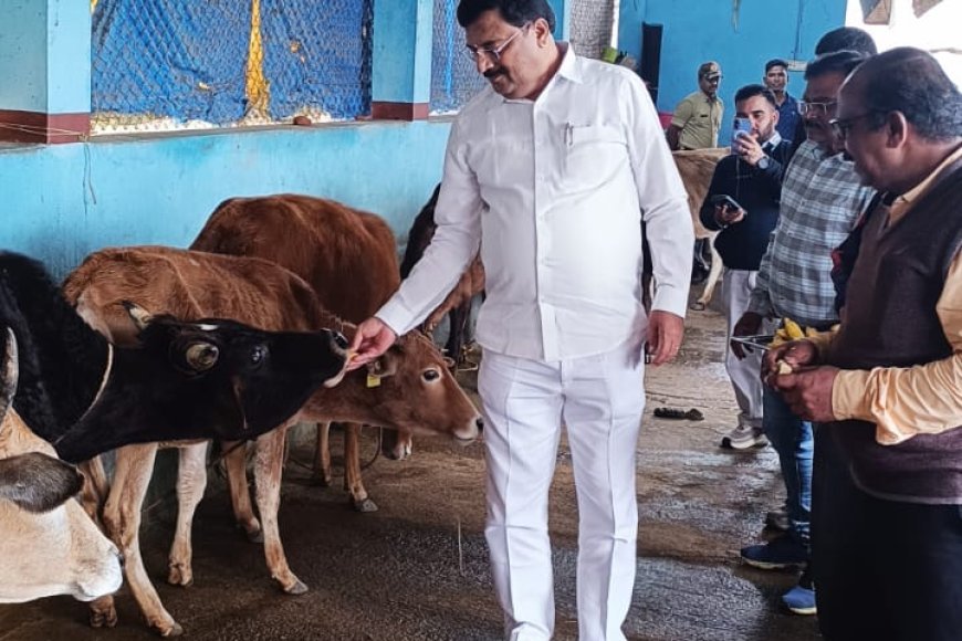 ಗೋಶಾಲೆಗೆ ಸಚಿವ ಪಿ.ಎಂ ನರೇಂದ್ರ ಸ್ವಾಮಿ ಭೇಟಿ