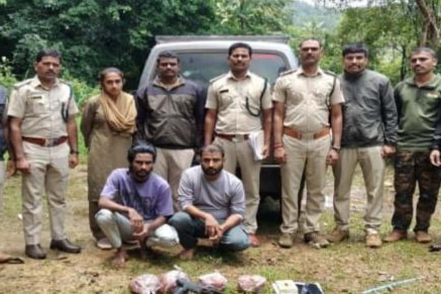 ಕಾಡುಕೋಣ ಬೇಟೆ:ಇಬ್ಬರ ಬಂಧನ