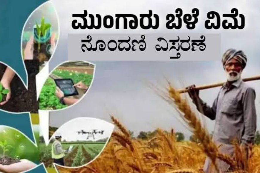 ಬೆಳೆ ವಿಮೆ ಪ್ರೀಮಿಯಂ ಪಾವತಿ ದಿನಾಂಕ ವಿಸ್ತರಣೆ