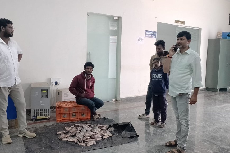 ಕುಶಾಲನಗರ ಪುರಸಭೆ ಕಛೇರಿಯೊಳಗಡೆ ಮೀನು ವ್ಯಾಪಾರ!